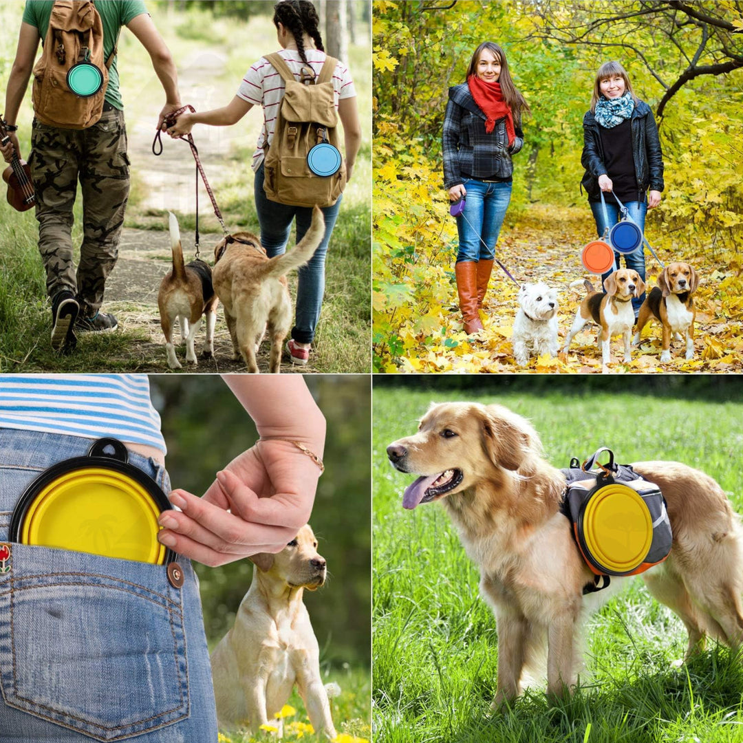 Tazón de Silicón Portable para Servir Alimento o Bebida a Mascotas