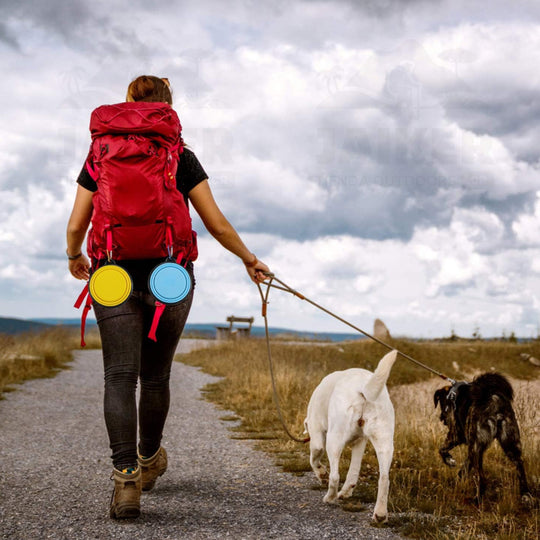 Tazón de Silicón Portable para Servir Alimento o Bebida a Mascotas